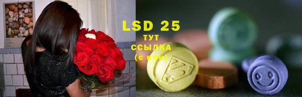 PSILOCYBIN Алексеевка